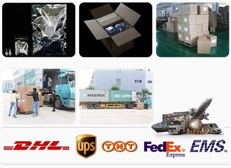 1-9V 5W P13.5s LED Upgrade Bulb for Flashlight Pr2 Bulb Replacement 2/3/4/5/6 C/D AA Cell White