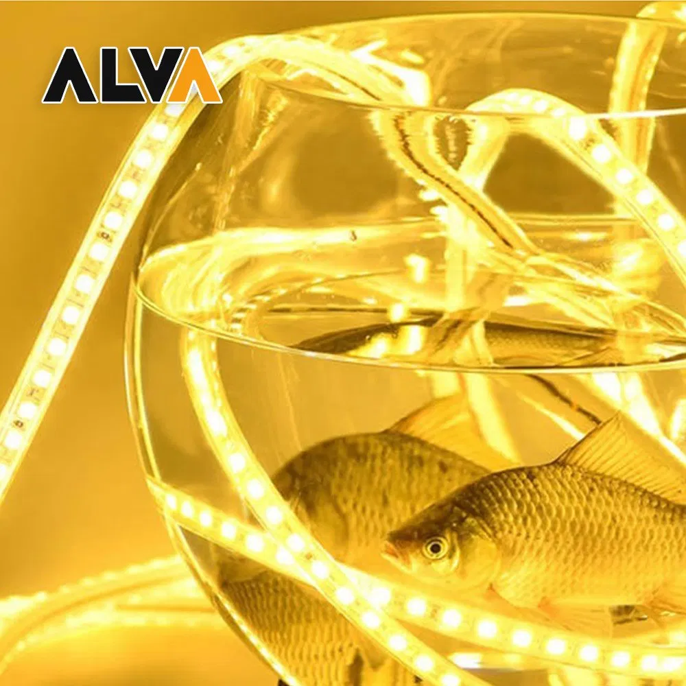 Alva AC220-240V Waterproof Outdoor 60SMD /M LED Strip Light