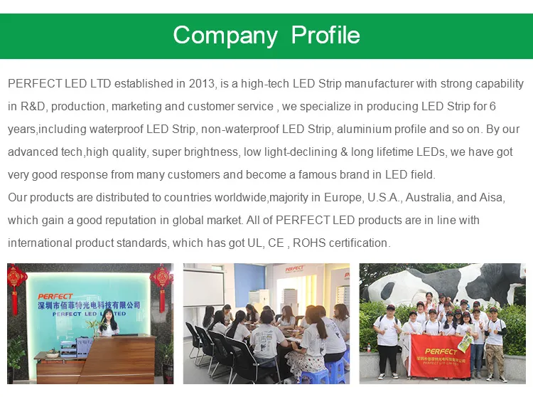 Cheap Wholesale IP65 Water Proof RGB LED Light Flexible Strip 2835 China Factory DC12V 24V LED Stripe