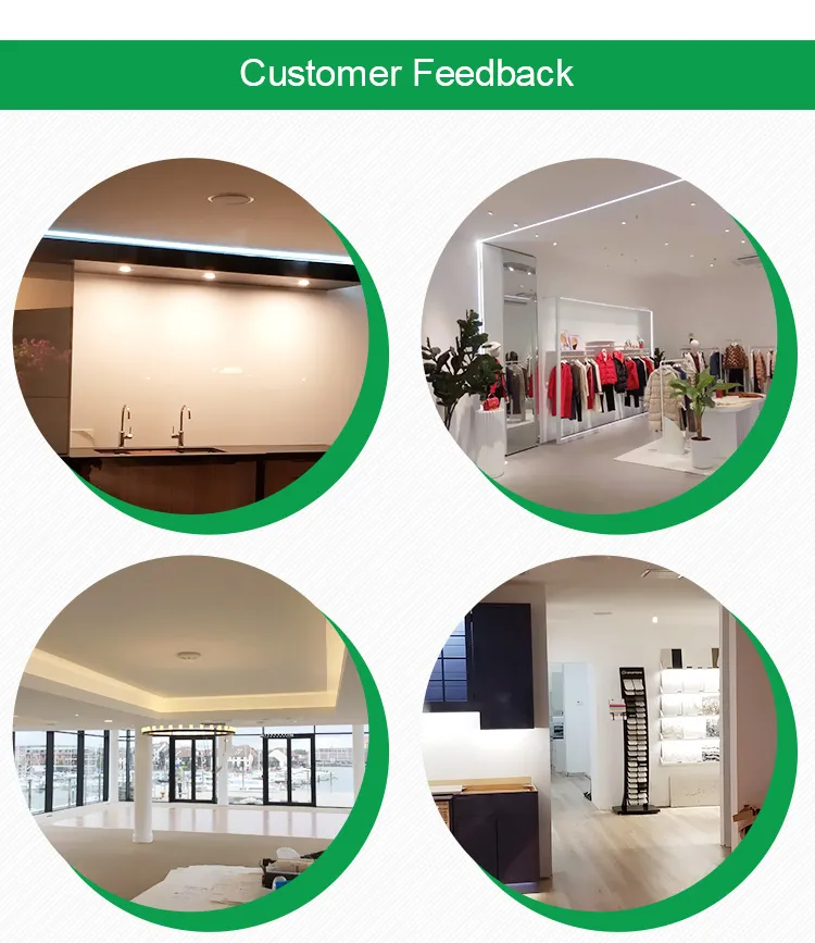 Cheap Wholesale IP65 Water Proof RGB LED Light Flexible Strip 2835 China Factory DC12V 24V LED Stripe