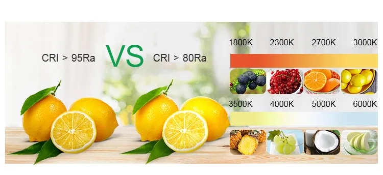 Cheap Wholesale IP65 Water Proof RGB LED Light Flexible Strip 2835 China Factory DC12V 24V LED Stripe