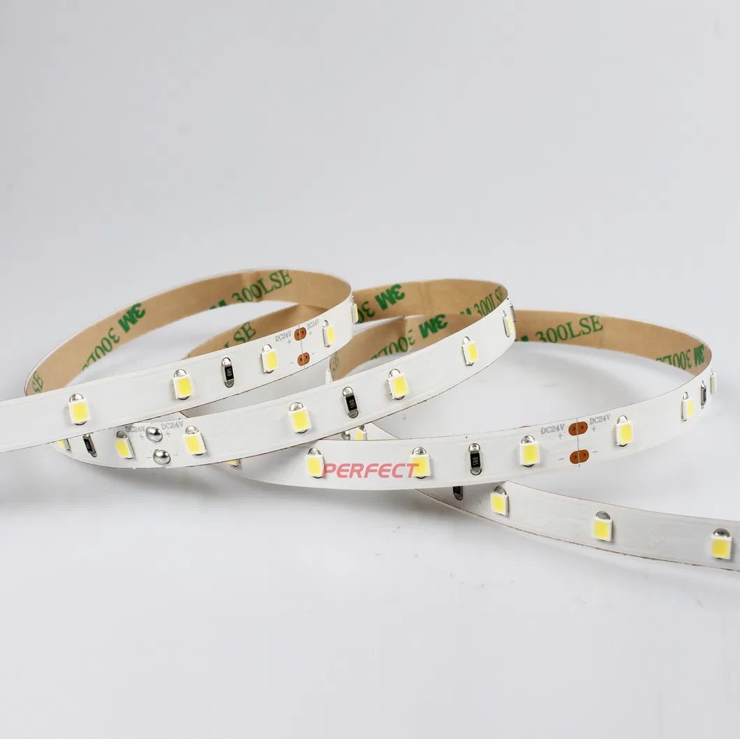 Cheap Wholesale IP65 Water Proof RGB LED Light Flexible Strip 2835 China Factory DC12V 24V LED Stripe