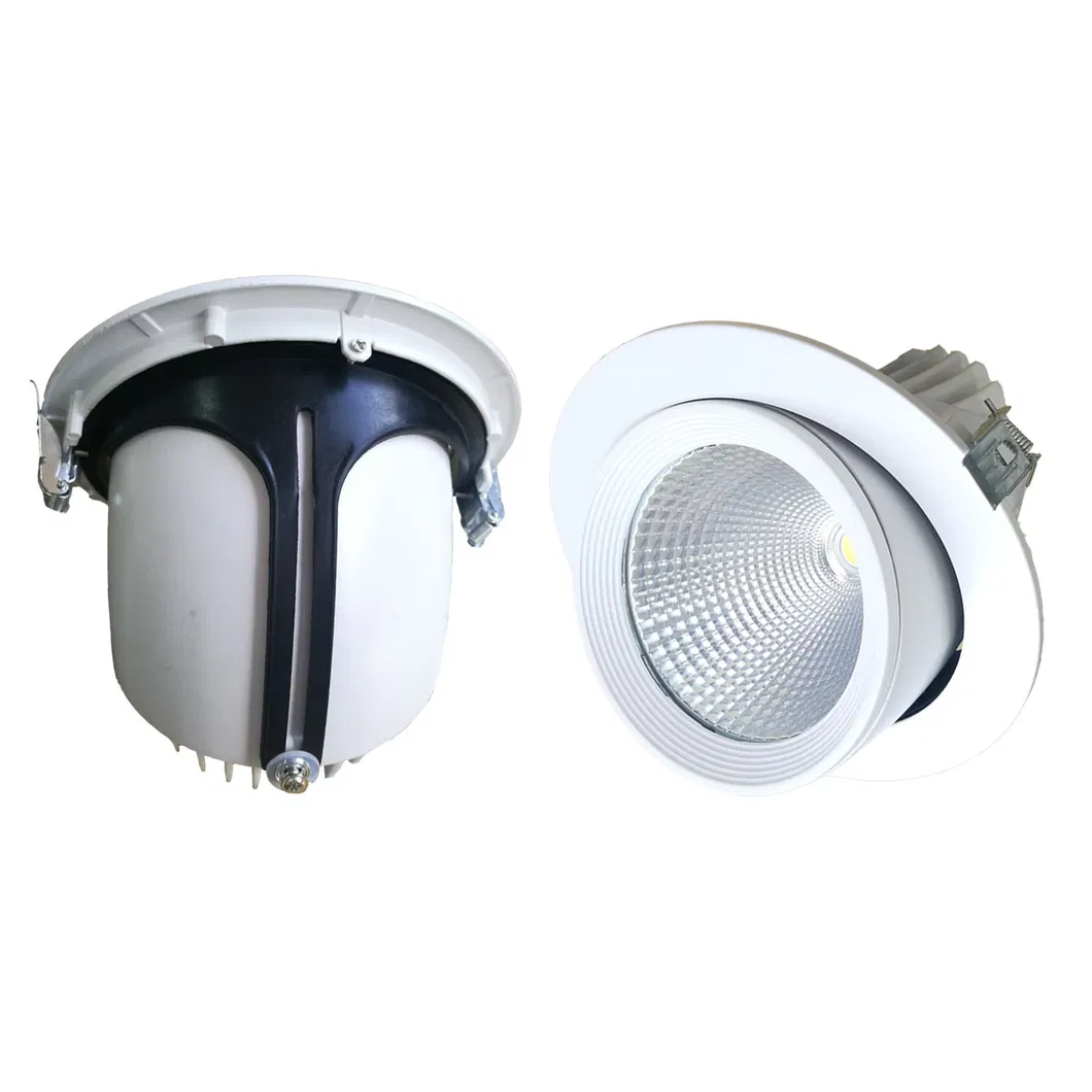 Chinese Manufacturer Direct Supply 10W/20W/30W/40W LED Down Lights