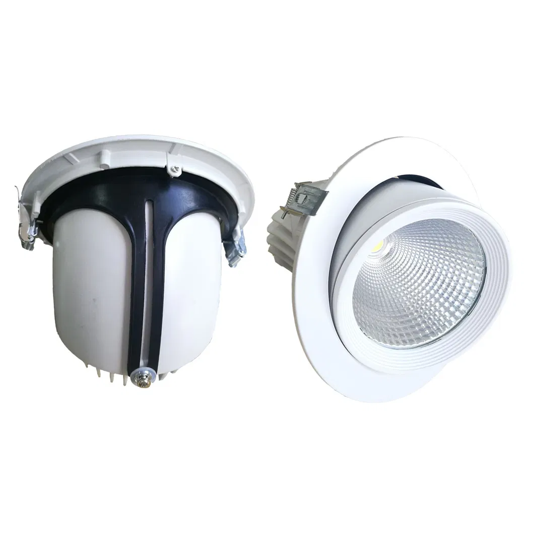 Chinese Manufacturer Direct Supply 10W/20W/30W/40W LED Down Lights