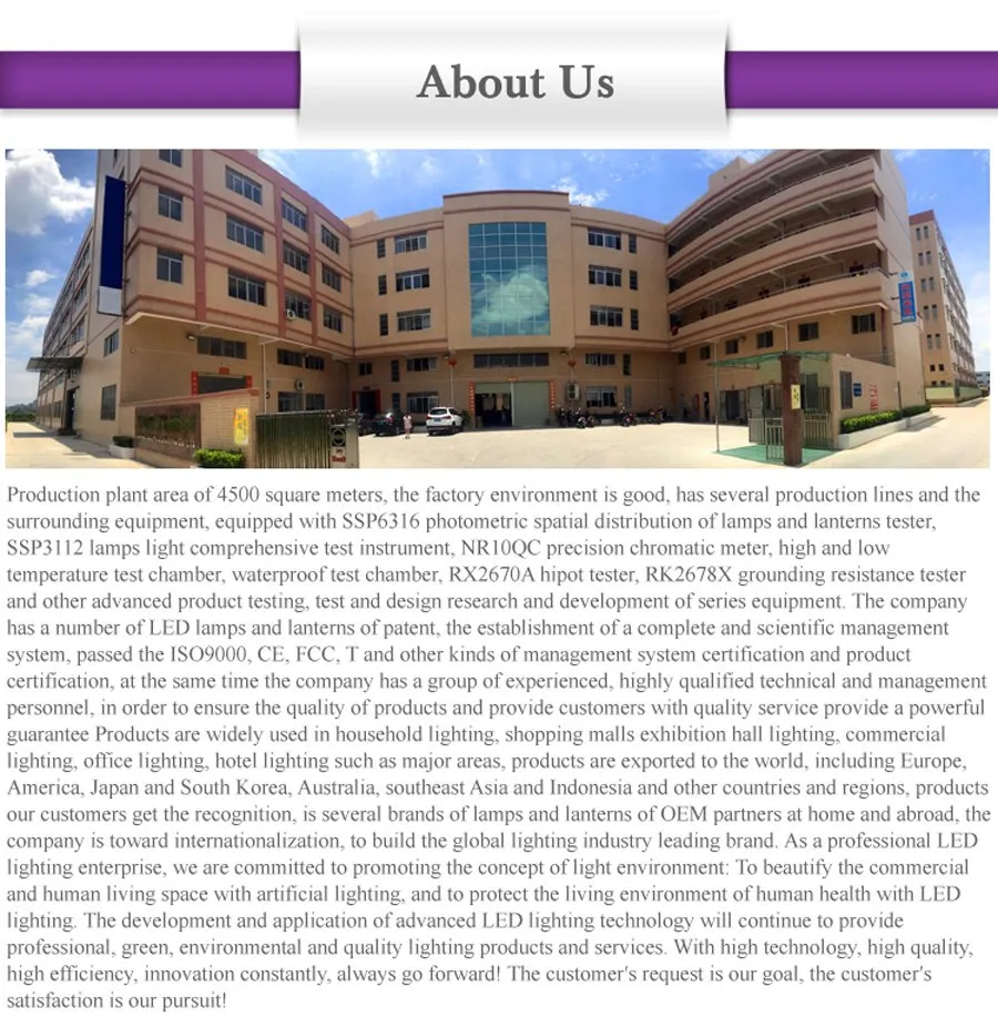 Delight Integrated Lighting 40W All in One Solar LED Street Light