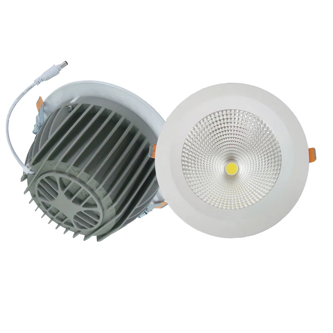 Embedded 30W Shop Display Lighting Epistar COB LED Downlight