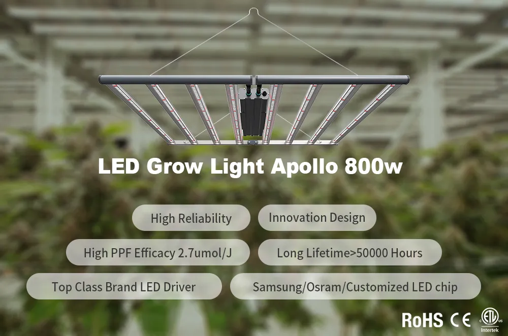 ETL Approved 800W Gavita Full Spectrum Best LED Plant Grow Bar Lights 0-10V Dimmable Work with Trolmaster Controller