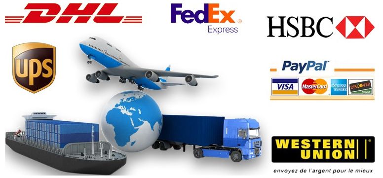 High Lumen 500W LED Grow Light for 2 Years Warranty