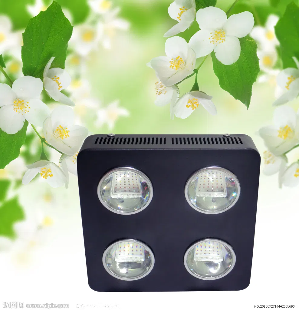 High Lumen 500W LED Grow Light for 2 Years Warranty
