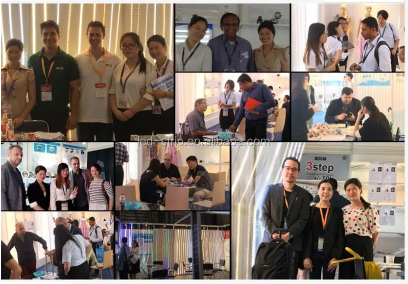 Hot Sale SMD5050 30LEDs Per Meter 12V LED Flexible Strip Light for Decoration Lighting