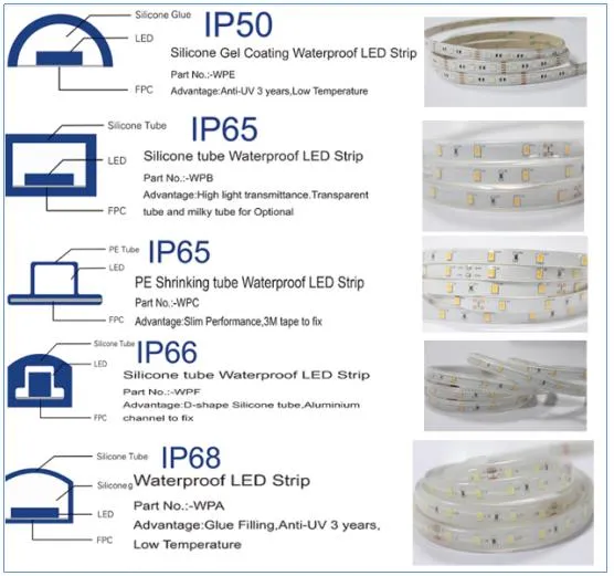 Hot Sale SMD5050 30LEDs Per Meter 12V LED Flexible Strip Light for Decoration Lighting