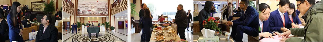 Popular Best Warm White LED Downlights for Kitchen