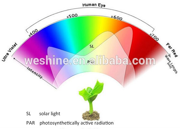 Professional Medical Hemp Plant COB LED Grow Light 504W