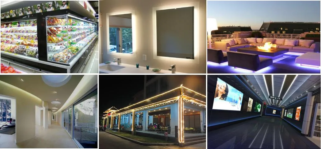 RGBW 4chips 24V LED Strip Light SMD 5050 LED Strip Light