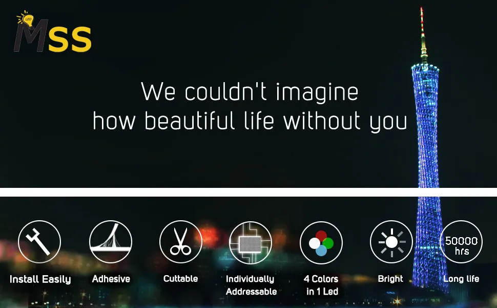 RGBW 4chips 24V LED Strip Light SMD 5050 LED Strip Light