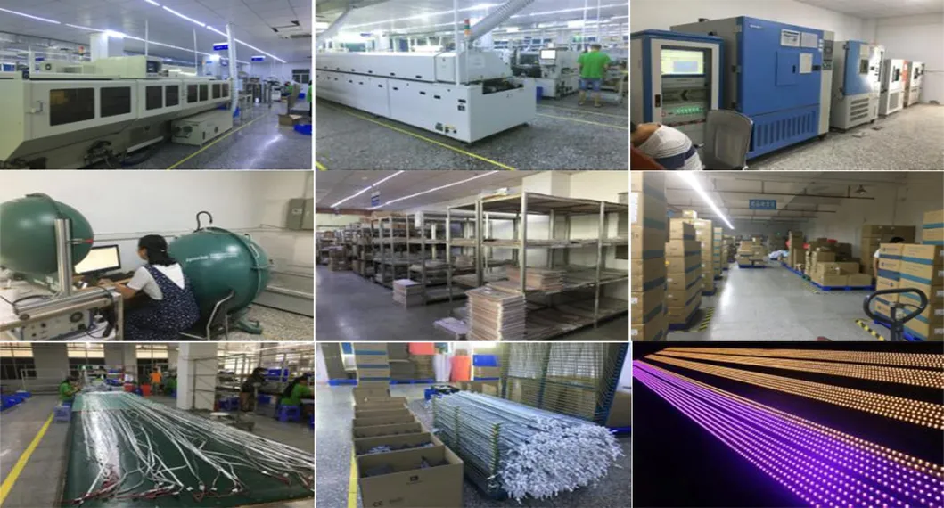 RGBW 4chips 24V LED Strip Light SMD 5050 LED Strip Light