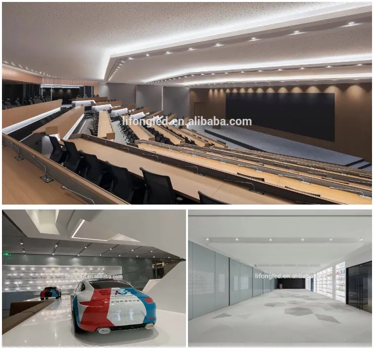 Sdcm 3 Citizen COB CRI 90 Ra 95 3W 5W 3500K 24 Degree 38 Degree Recessed LED Downlight