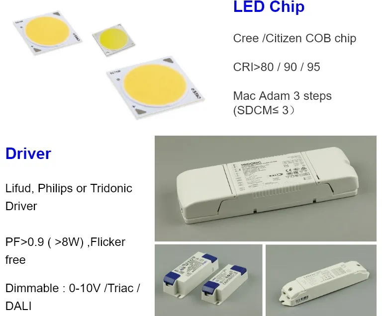 Sdcm 3 Citizen COB CRI 90 Ra 95 3W 5W 3500K 24 Degree 38 Degree Recessed LED Downlight