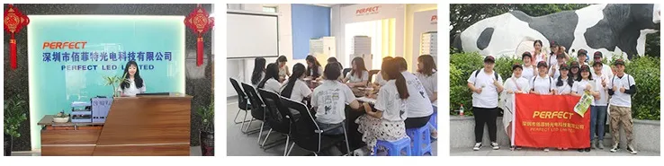 Shenzhen Factory Provide Waterproof Sam-Sung SMD 5630 LED Strip